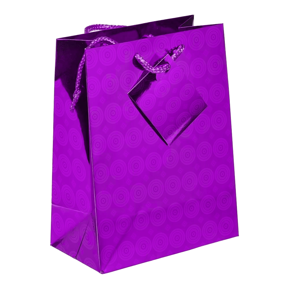 Holographic Gift Bags with Corded Handles