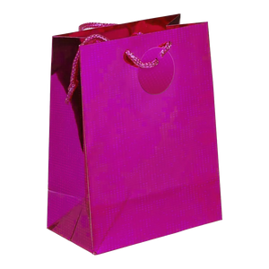 Holographic Gift Bags with Corded Handles