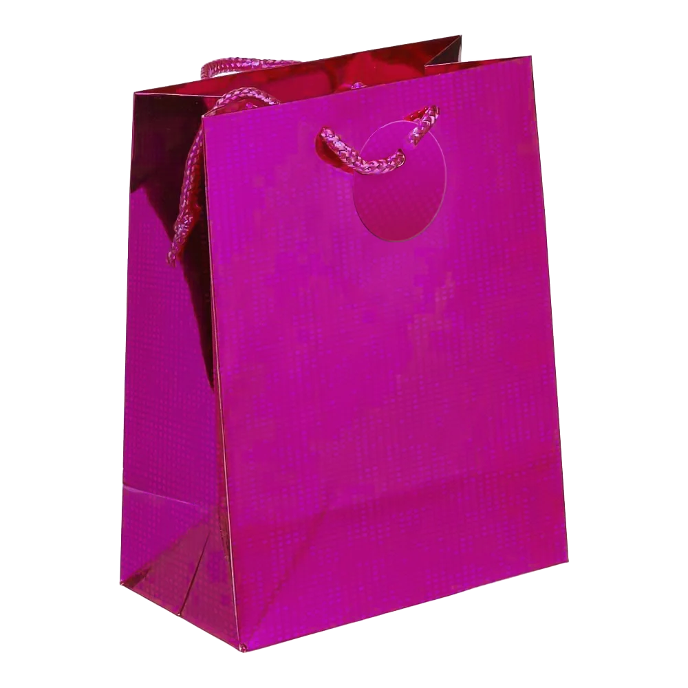 Holographic Gift Bags with Corded Handles