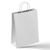 White Paper Bags with Handles