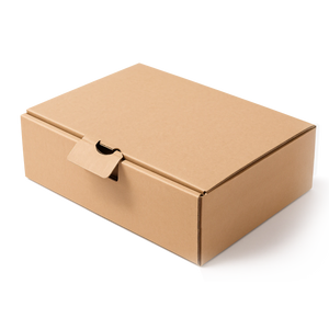 Postal Boxes - 13.1x7.9x2.6 Inch - Pack of 25